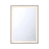 Eurydice LED Mirror - 22x30
