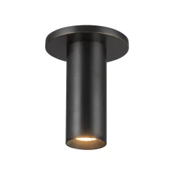 Evander LED Ceiling Light