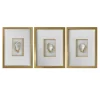 Golden Oyster Set of Three Wall Decor