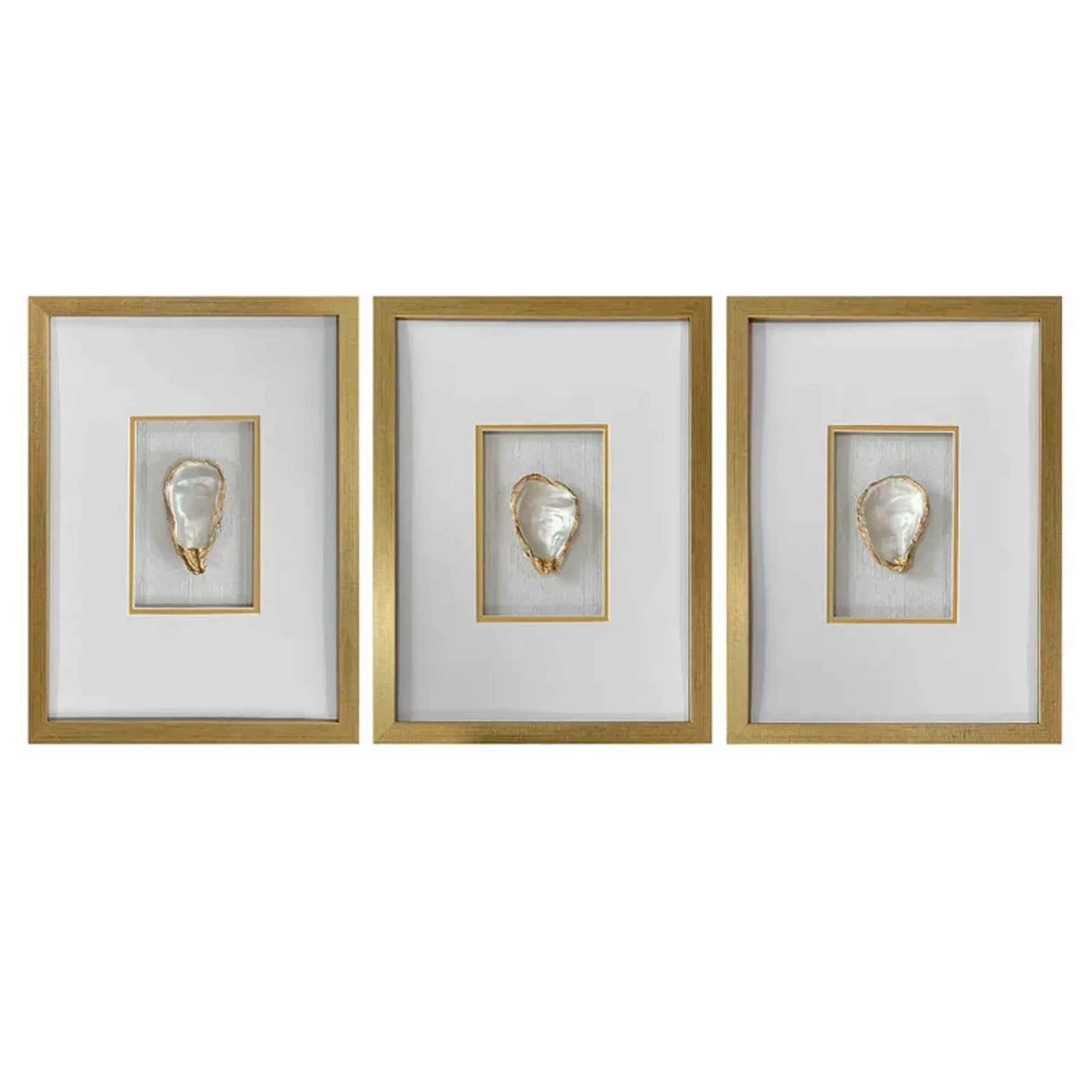 Golden Oyster Set of Three Wall Decor