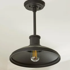 Gooseneck Warehouse Convertible Ceiling Light