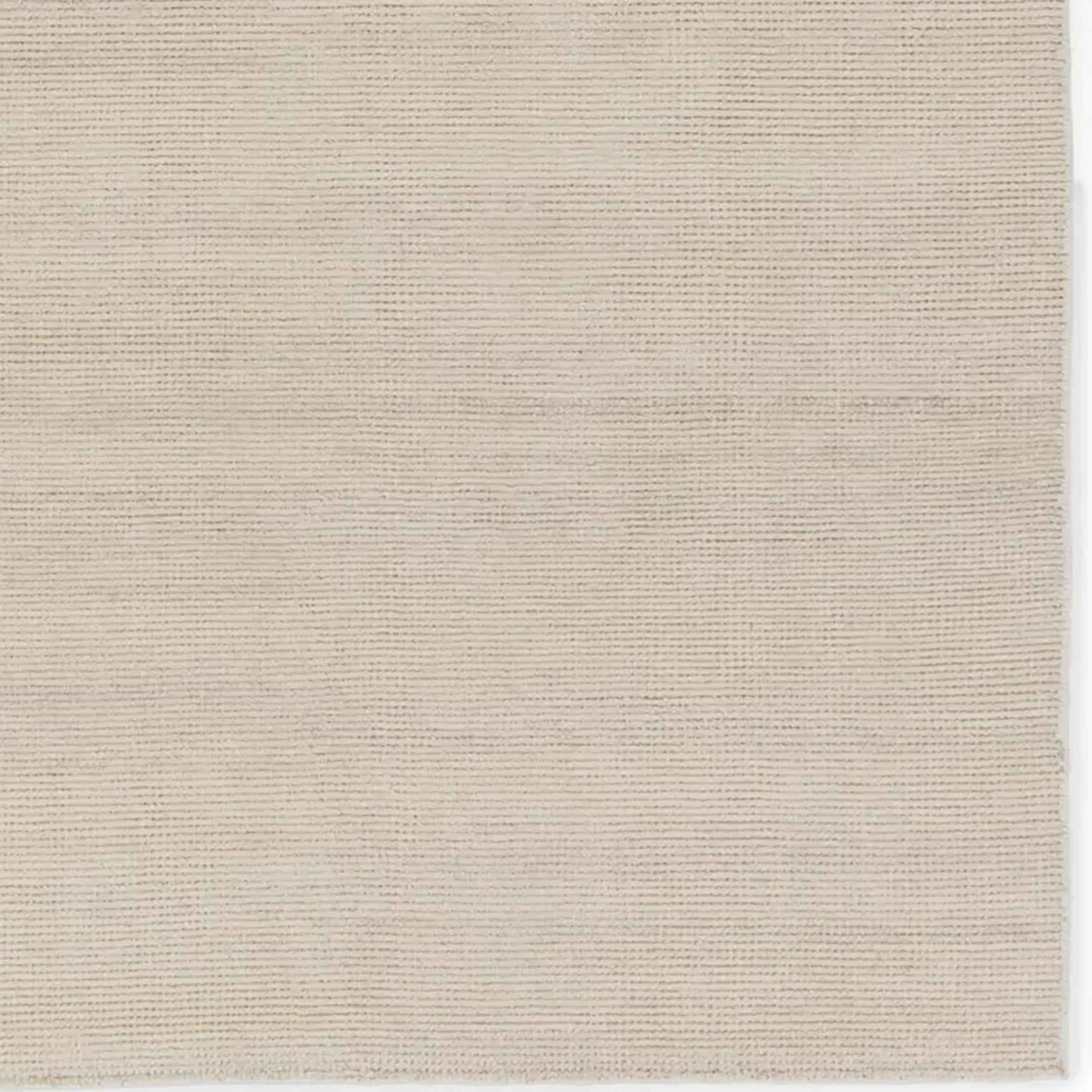Halston Handwoven Indoor / Outdoor Rug