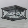 Hampton Indoor/Outdoor Ceiling Light