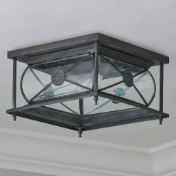 Hampton Indoor/Outdoor Ceiling Light