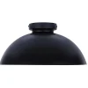 Henshaw Ceiling Light