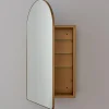 Ianua Medicine Cabinet Mirror