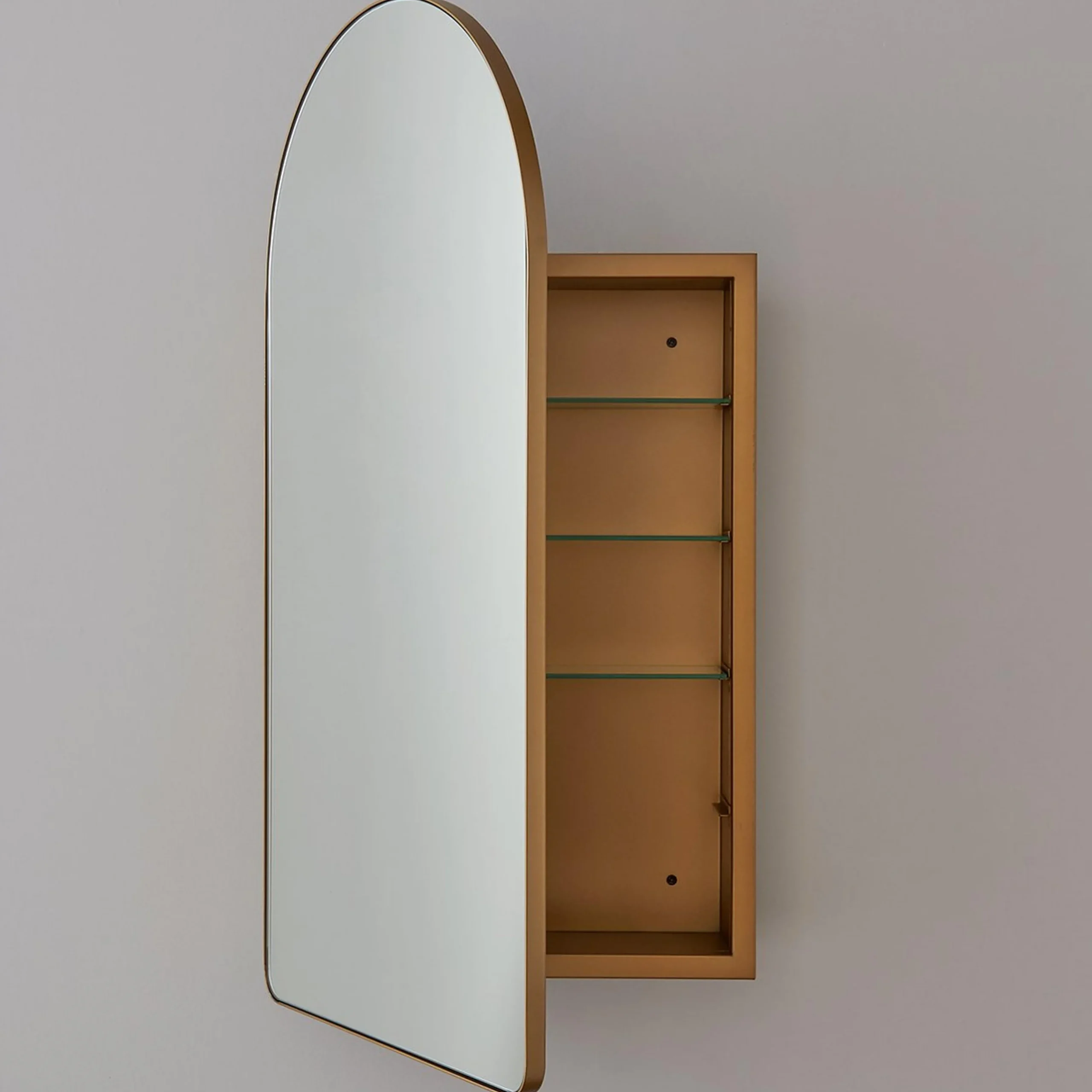 Ianua Medicine Cabinet Mirror