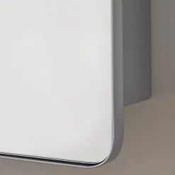 Ianua Medicine Cabinet Mirror