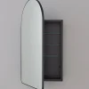 Ianua Medicine Cabinet Mirror