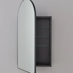 Ianua Medicine Cabinet Mirror