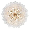 Imondo Chandelier - 16 Light - Clear