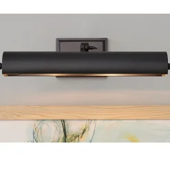 16" Incandescence Traditional Picture Light