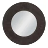 Introspect Mirror