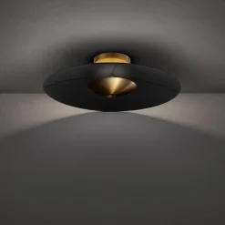 Ivano LED Convertible Ceiling Light