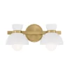 Janet Opaque Vanity Light - 2 Light