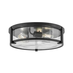 Lenora Clear Glass Ceiling Light