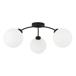 Lockstep Ceiling Light