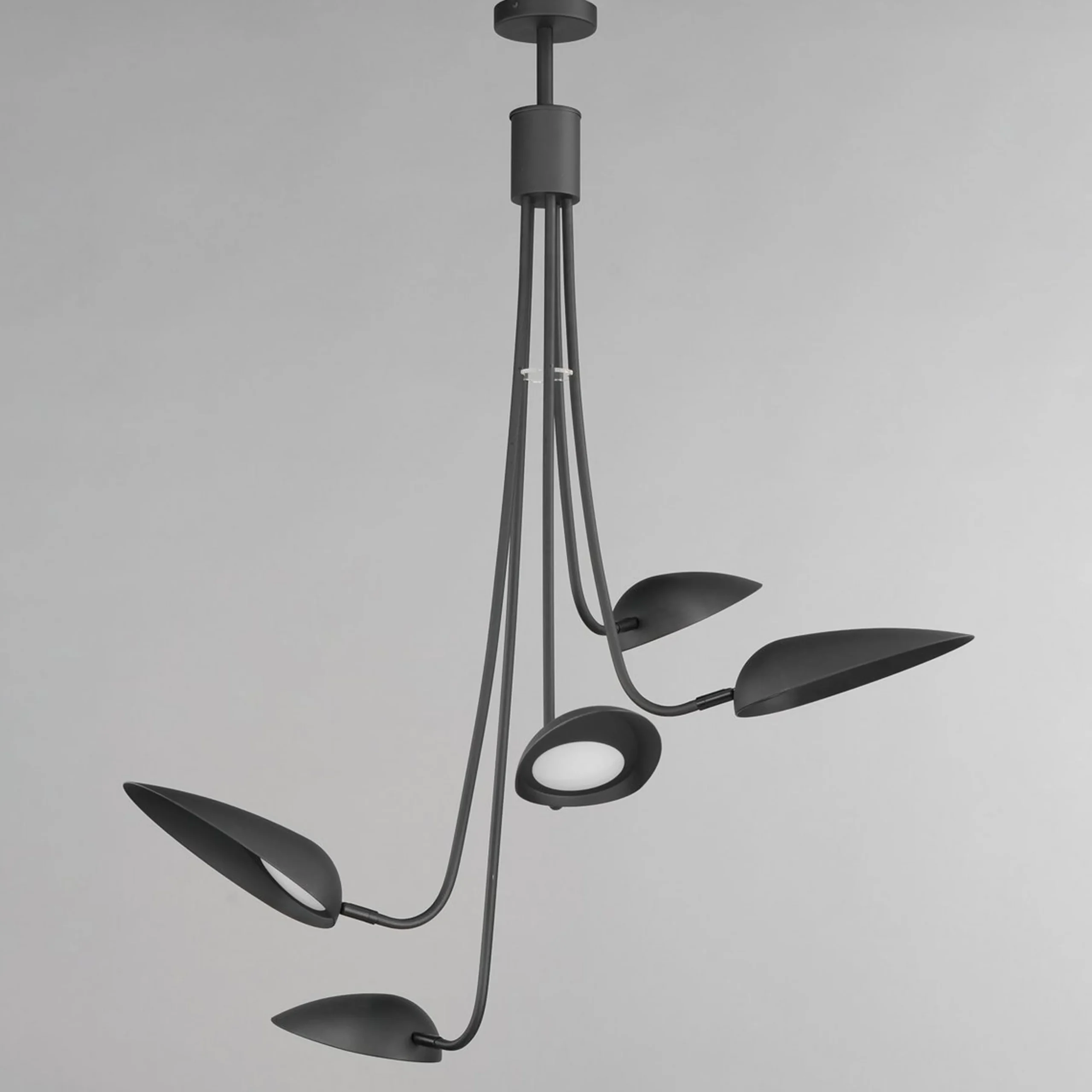 Ludisia LED Chandelier