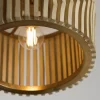 Maela Drum Convertible Semi-Flush Ceiling Light