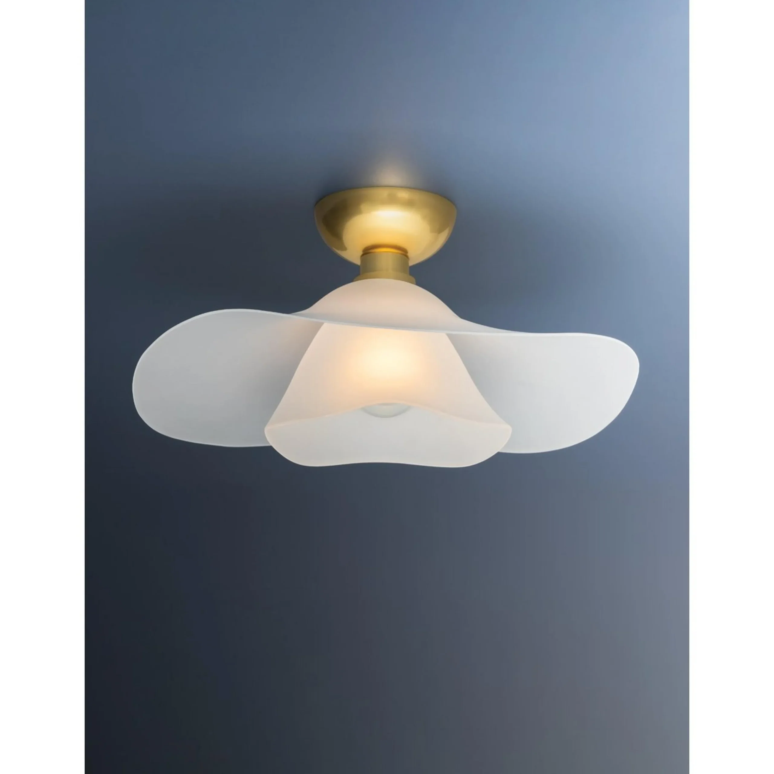 Maganda Ceiling Light