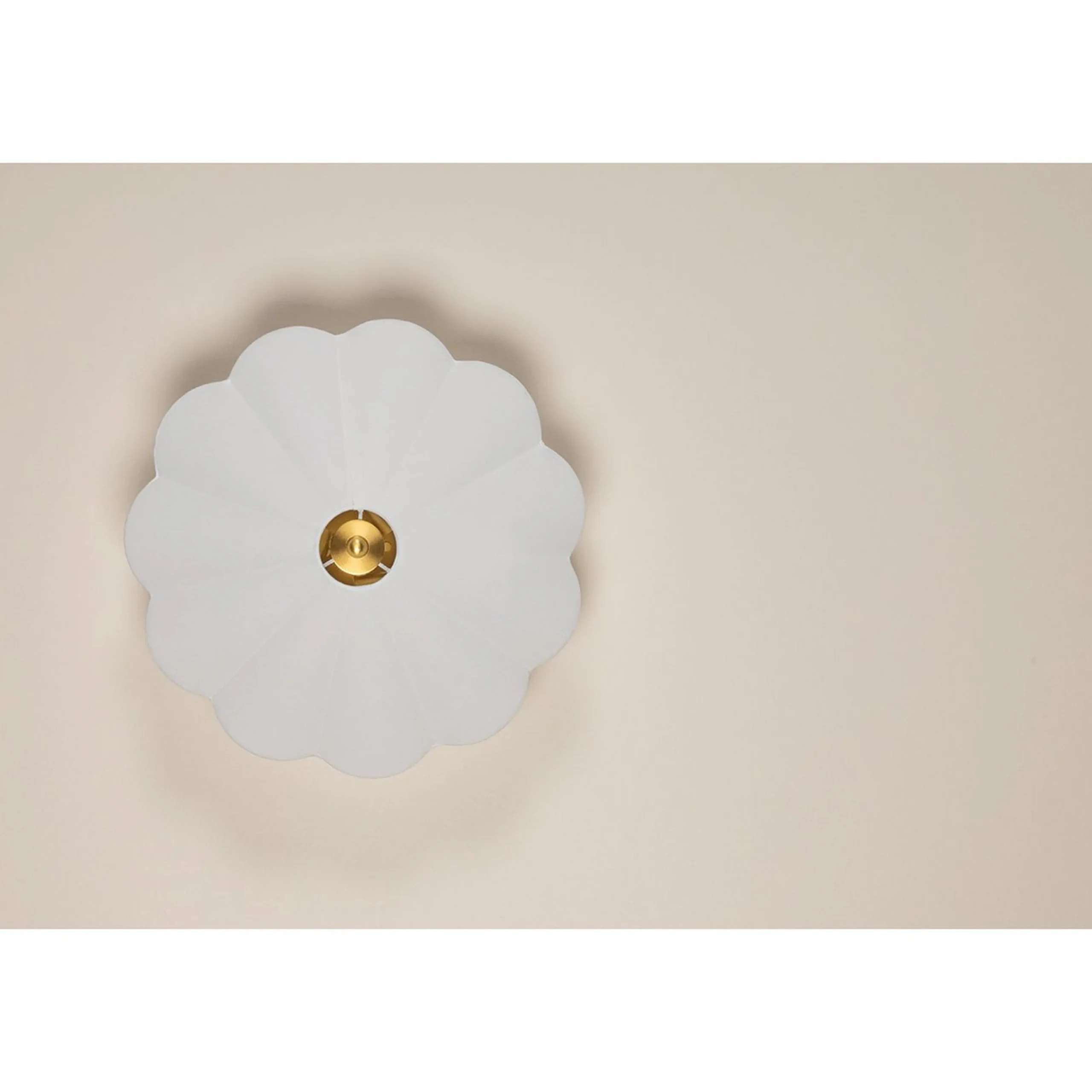 Marilou Convertible Ceiling Light