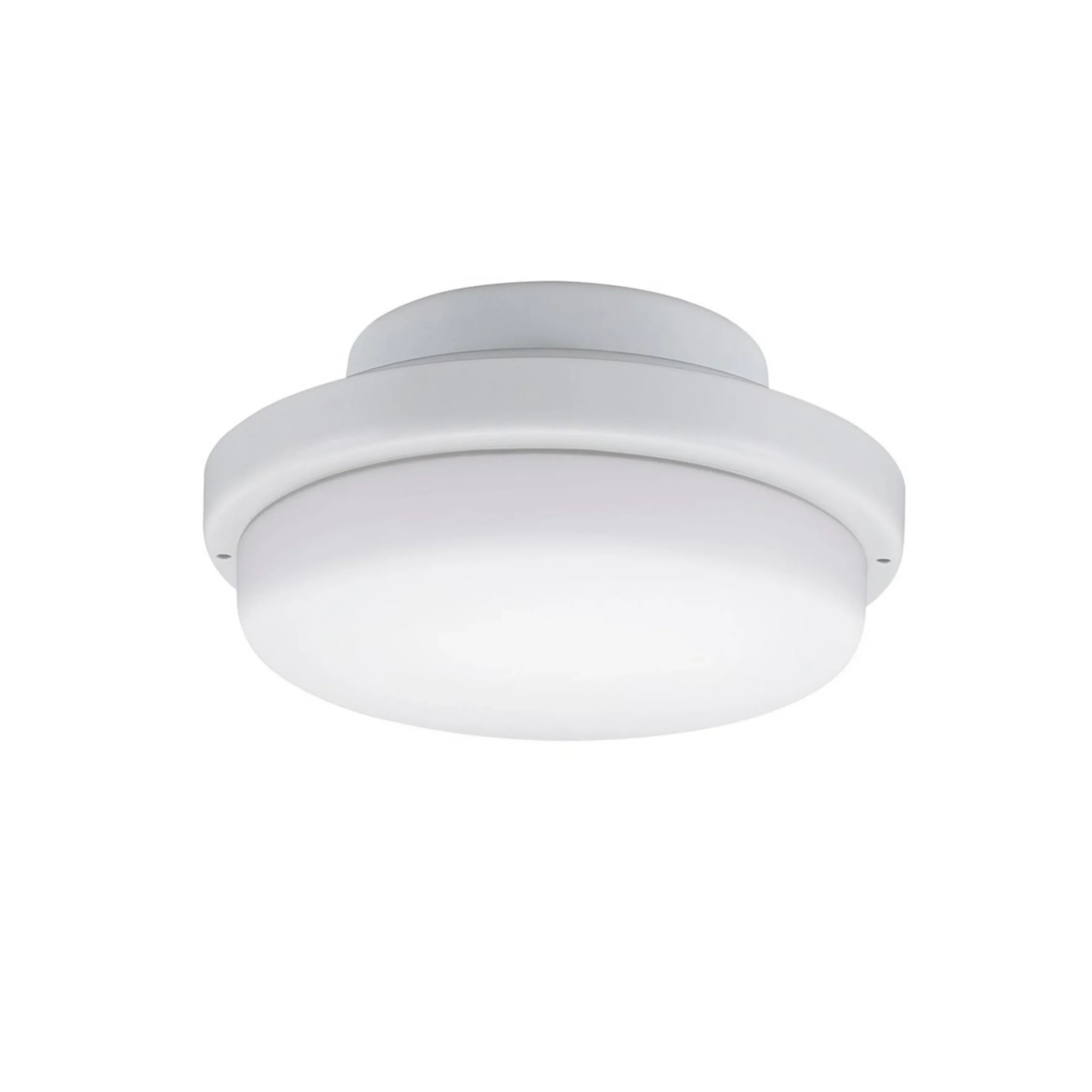 Melinoe Ceiling Fan Light Kit - Standard - Marine Grade