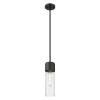 Mirza Clear Glass Pendant