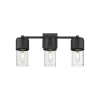 Mirza Clear Glass Vanity Light - 3 Light