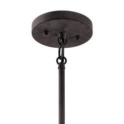 Networked Outdoor Convertible Pendant