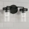 Neysha Vanity Light - 2 Light