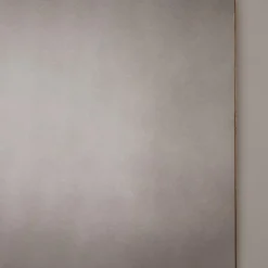 Nico Mirror