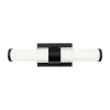 Nycteus LED Vanity Light - 18"