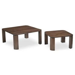 Reika Nesting Coffee Tables - Set of 2