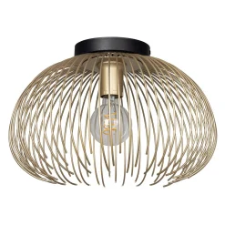Salsola Convertible Ceiling Light