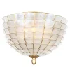 Sandra Capiz Ceiling Light