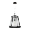 Seeded Glass Transitional Pendant - Medium