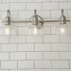 Seedy Gooseneck Vanity Light - 3 Light