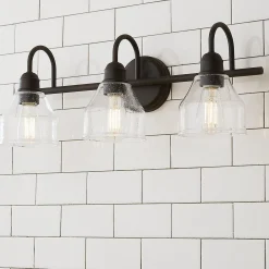 Seedy Gooseneck Vanity Light - 3 Light