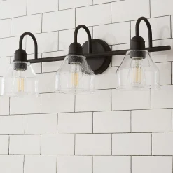 Seedy Gooseneck Vanity Light - 3 Light