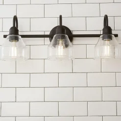 Seedy Gooseneck Vanity Light - 3 Light