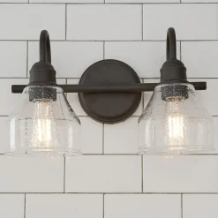 Seedy Gooseneck Vanity Light - 2 Light