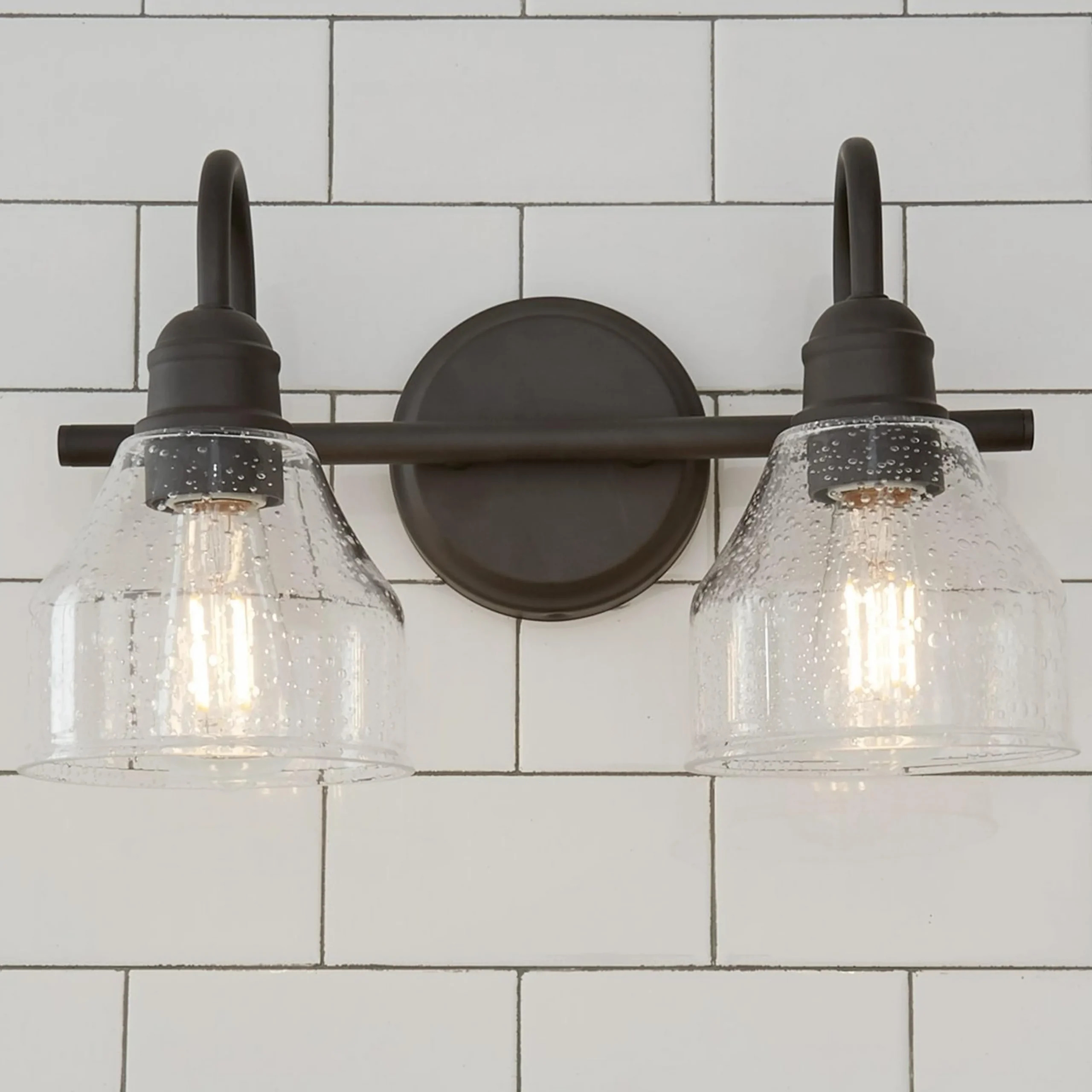 Seedy Gooseneck Vanity Light - 2 Light