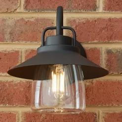 Shaded Firefly Outdoor Sconce