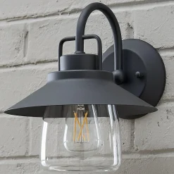 Shaded Firefly Outdoor Sconce