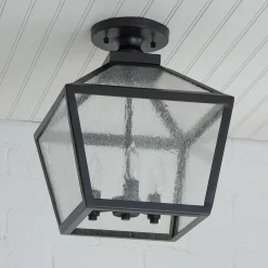 Shenandoah Outdoor Ceiling Light
