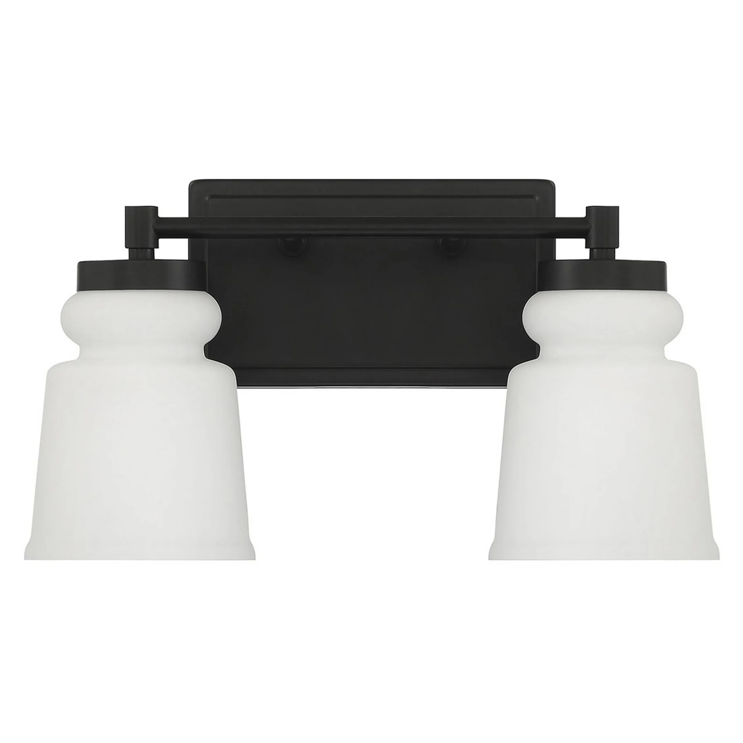 Snowmelt Vanity Light - 2 Light