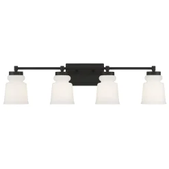 Snowmelt Vanity Light - 4 Light