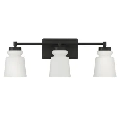 Snowmelt Vanity Light - 3 Light