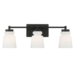 Snowmelt Vanity Light - 3 Light