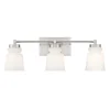 Snowmelt Vanity Light - 3 Light